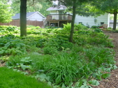 Enlarge photo 43