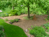 Enlarge photo 46