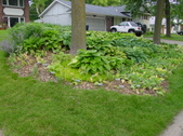 Enlarge photo 65