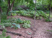Enlarge photo 74