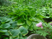 Enlarge photo 23