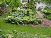 Enlarge photo 75