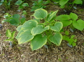 Enlarge photo 4