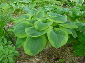 Enlarge photo 7