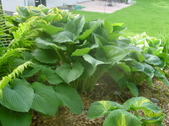 Enlarge photo 15