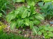 Enlarge photo 14