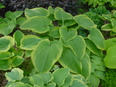 Enlarge photo 29