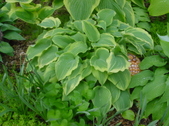 Enlarge photo 5