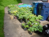 Enlarge photo 47