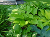 Enlarge photo 51