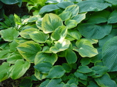 Enlarge photo 56