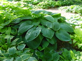 Enlarge photo 57