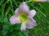 Enlarge photo 18
