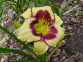Enlarge photo 6