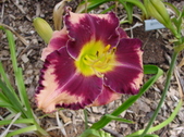 Enlarge photo 7