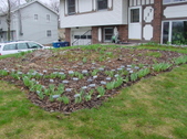 Enlarge photo 1
