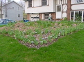 Enlarge photo 17