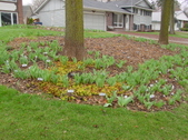 Enlarge photo 2