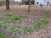Enlarge photo 24