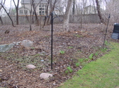 Enlarge photo 10
