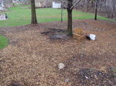 Enlarge photo 16