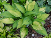 Enlarge photo 3
