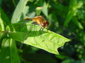 Enlarge photo 2