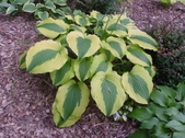 Enlarge photo 13