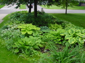 Enlarge photo 206