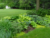 Enlarge photo 207