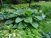 Enlarge photo 181
