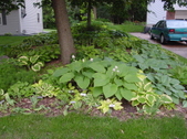 Enlarge photo 162
