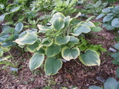 Enlarge photo 114