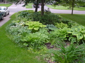 Enlarge photo 163