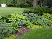 Enlarge photo 164