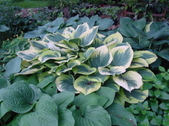 Enlarge photo 138