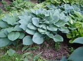 Enlarge photo 111
