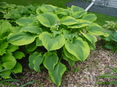 Enlarge photo 115