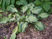 Enlarge photo 126