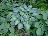 Enlarge photo 129