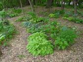 Enlarge photo 37