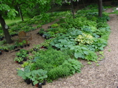 Enlarge photo 41