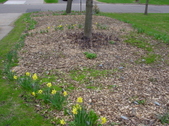 Enlarge photo 23