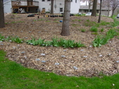 Enlarge photo 25
