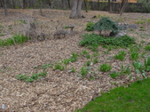 Enlarge photo 28