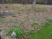 Enlarge photo 29