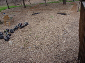 Enlarge photo 17