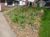 Enlarge photo 22