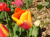 Enlarge photo 23