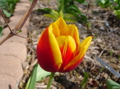 Enlarge photo 25